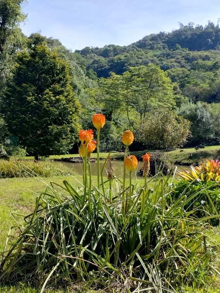 Lindo sítio com vista em Nova Hartz/RS!: 4ª foto da galeria de imagens do imóvel