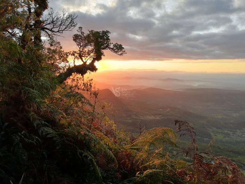 Lindo sítio com vista em Nova Hartz/RS!: 1ª foto da galeria de imagens do imóvel