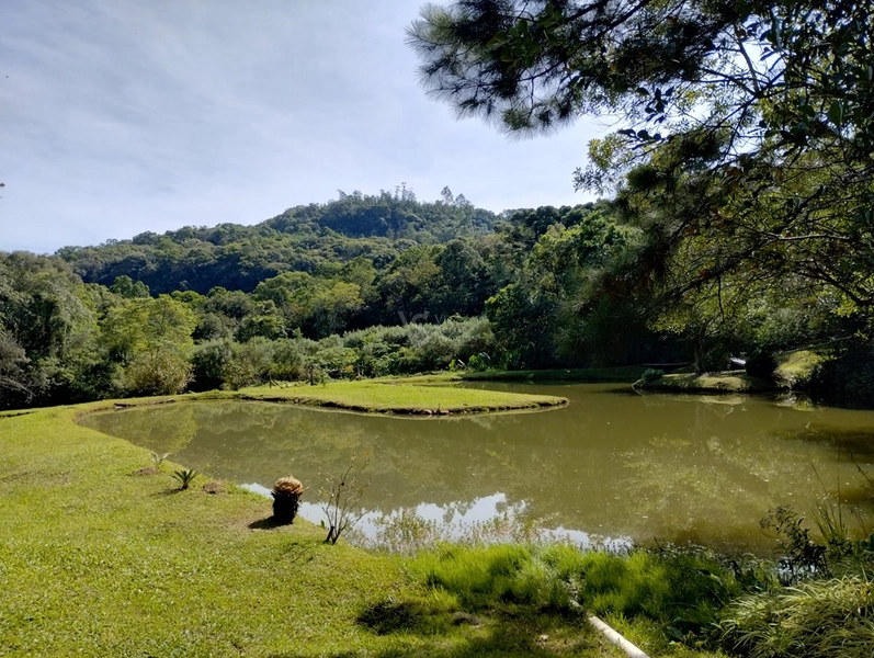 Lindo sítio com vista em Nova Hartz/RS!: 3ª foto da galeria de imagens do imóvel