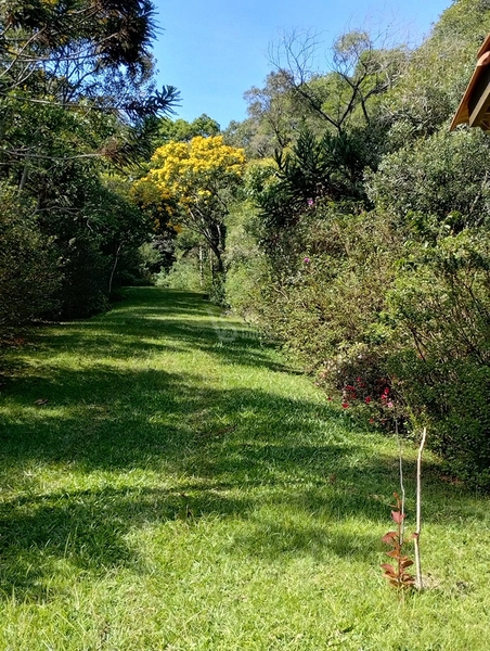 Lindo sítio com vista em Nova Hartz/RS!: 7ª foto da galeria de imagens do imóvel