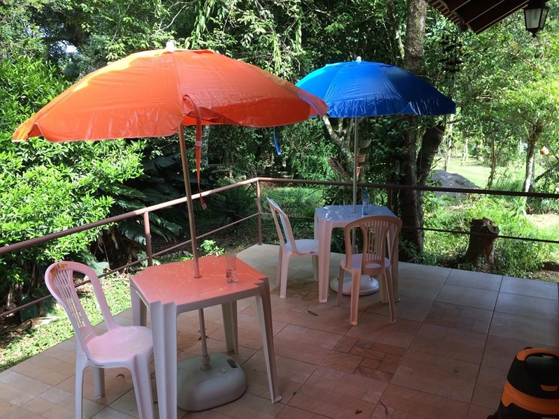 Lindo sítio com vista em Nova Hartz/RS!: 12ª foto da galeria de imagens do imóvel