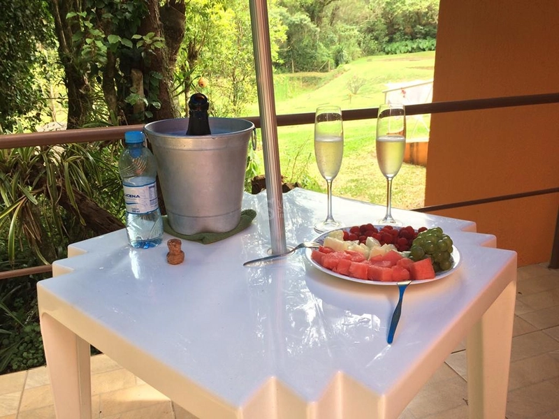 Lindo sítio com vista em Nova Hartz/RS!: 11ª foto da galeria de imagens do imóvel