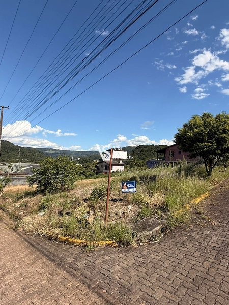 Ótima oportunidade de terreno em Três Coroas/RS!: 4ª foto da galeria de imagens do imóvel