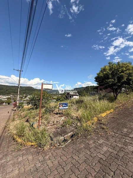 Ótima oportunidade de terreno em Três Coroas/RS!: 5ª foto da galeria de imagens do imóvel