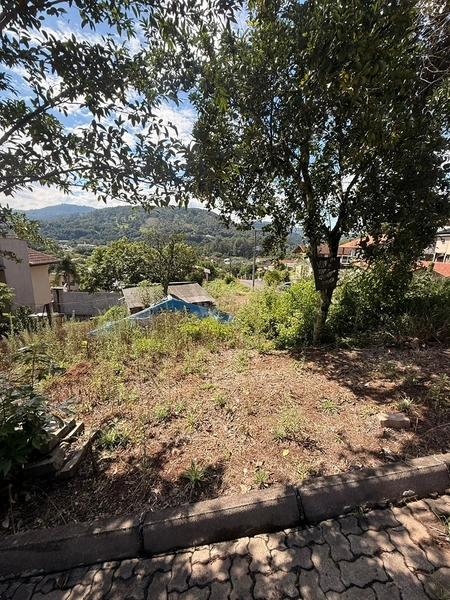 Terreno de esquina em Três Coroas!: 3ª foto da galeria de imagens do imóvel