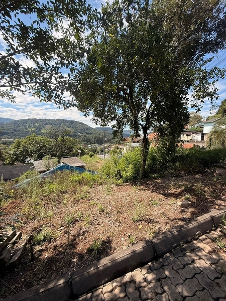 Terreno de esquina em Três Coroas!: 4ª foto da galeria de imagens do imóvel