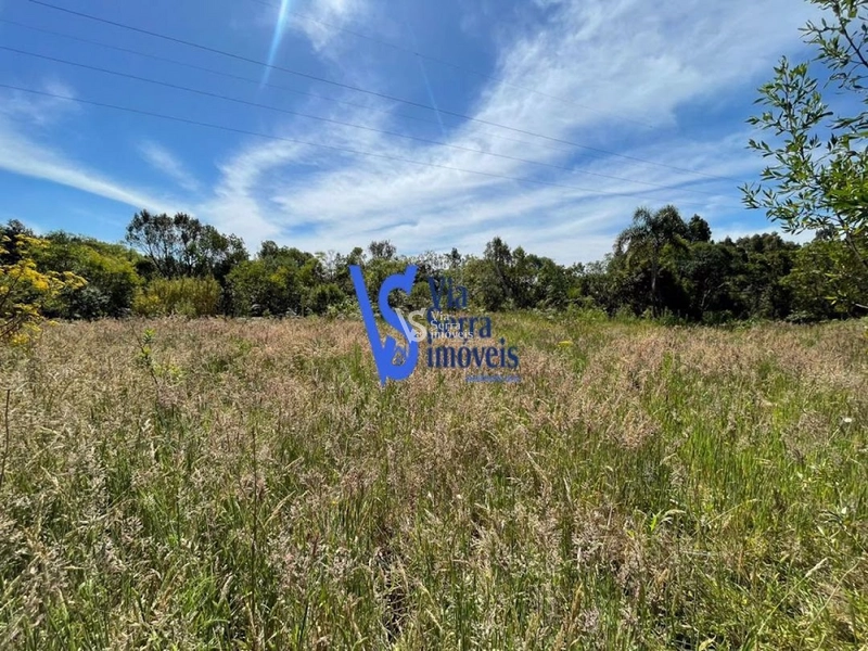 Sítio na Serra Grande à venda, Igrejinha/RS!: 3ª foto da galeria de imagens do imóvel