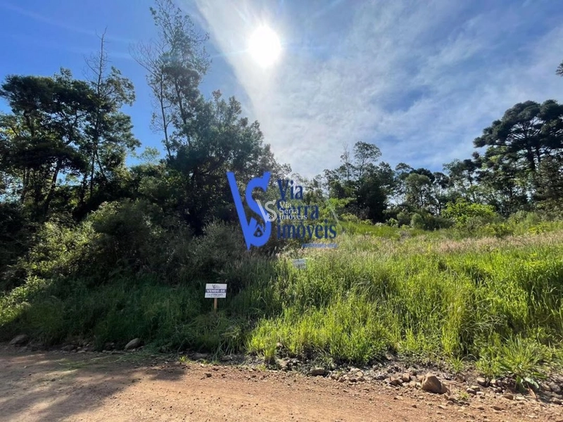 Sítio na Serra Grande à venda, Igrejinha/RS!: 4ª foto da galeria de imagens do imóvel