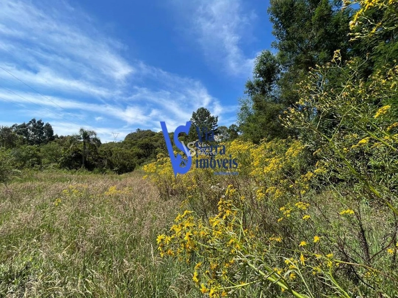 Sítio na Serra Grande à venda, Igrejinha/RS!: 7ª foto da galeria de imagens do imóvel