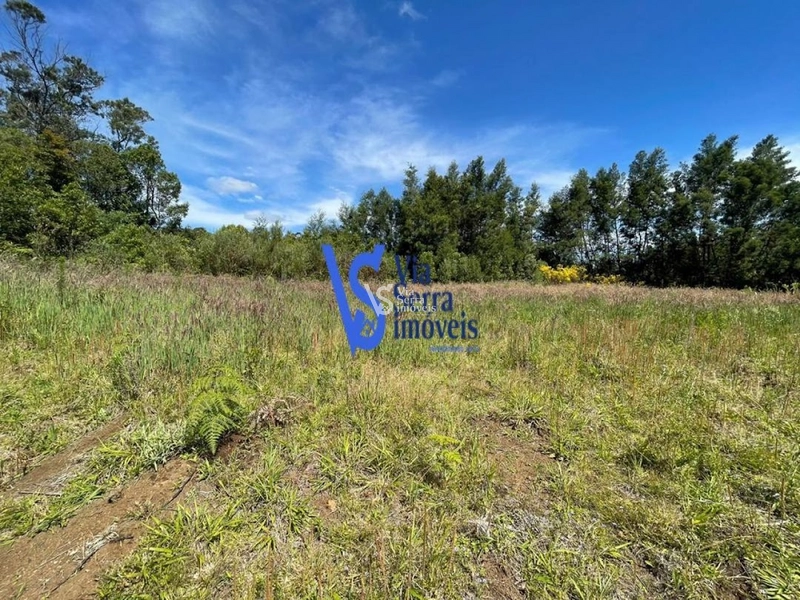 Sítio na Serra Grande à venda, Igrejinha/RS!: 9ª foto da galeria de imagens do imóvel