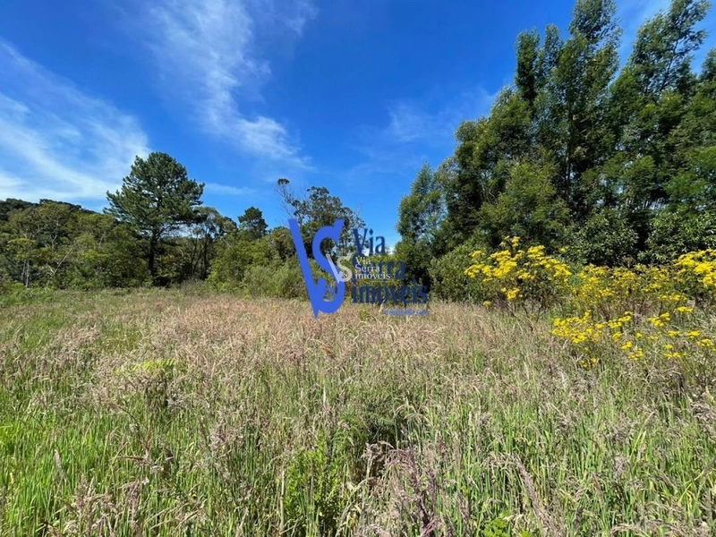 Sítio na Serra Grande à venda, Igrejinha/RS!: 8ª foto da galeria de imagens do imóvel