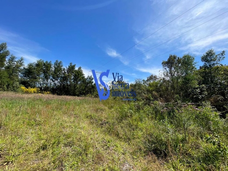 Sítio na Serra Grande à venda, Igrejinha/RS!: 1ª foto da galeria de imagens do imóvel