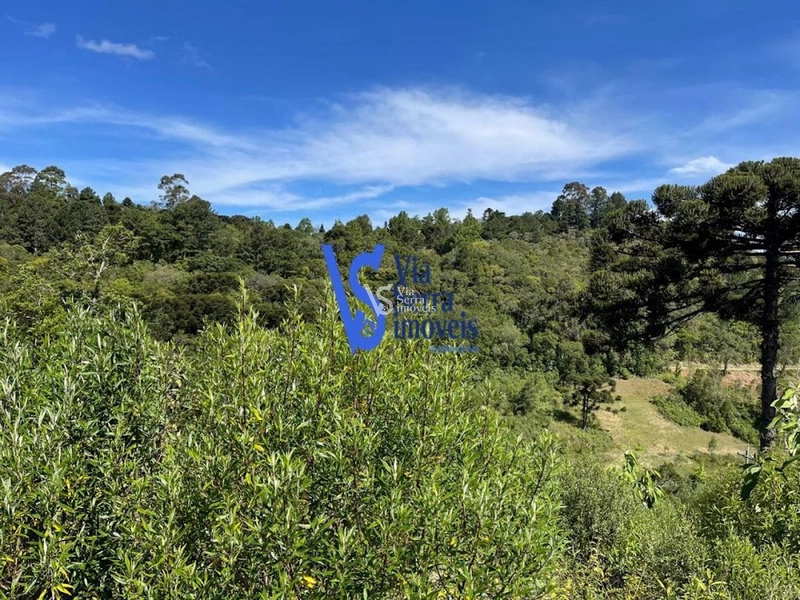 Sítio na Serra Grande à venda, Igrejinha/RS!: 5ª foto da galeria de imagens do imóvel