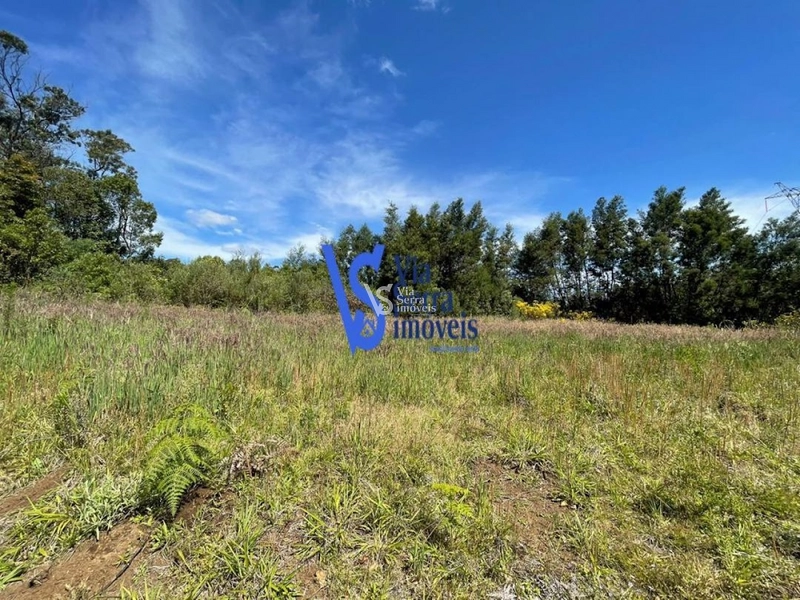 Sítio na Serra Grande à venda, Igrejinha/RS!: 6ª foto da galeria de imagens do imóvel