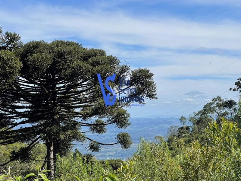 Sítio na Serra Grande à venda, Igrejinha/RS!: 10ª foto da galeria de imagens do imóvel