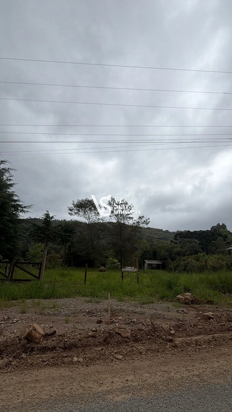 Terreno à venda em Santa Maria do Herval: 4ª foto da galeria de imagens do imóvel