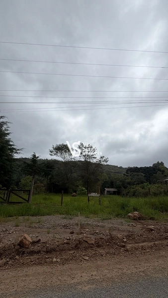 Terreno à venda em Santa Maria do Herval: 3ª foto da galeria de imagens do imóvel
