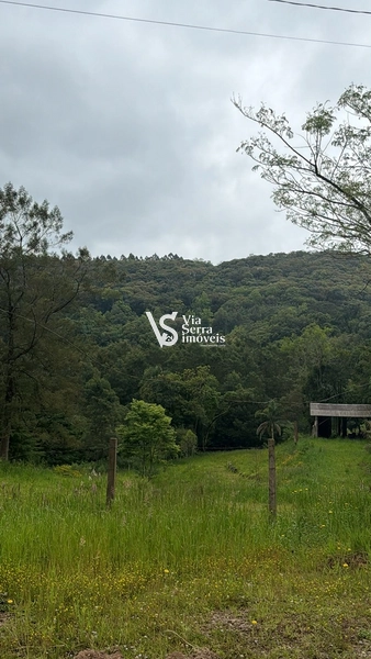 Terreno à venda em Santa Maria do Herval: 6ª foto da galeria de imagens do imóvel