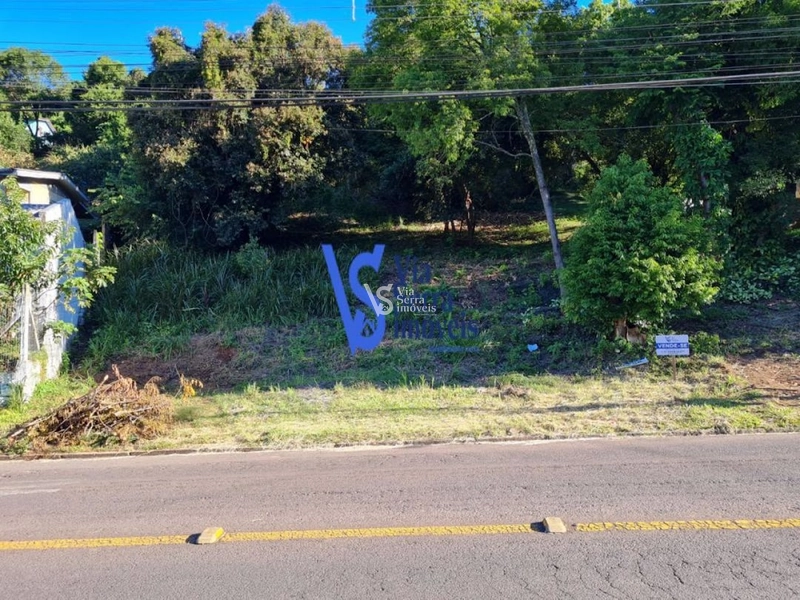 Terreno à venda, em Três Coroas//RS!: 1ª foto da galeria de imagens do imóvel