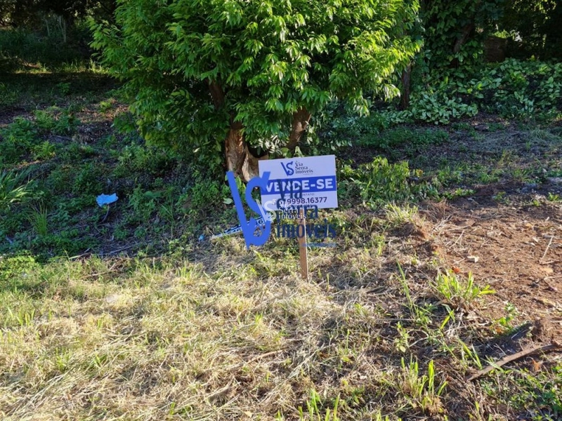 Terreno à venda, em Três Coroas//RS!: 2ª foto da galeria de imagens do imóvel