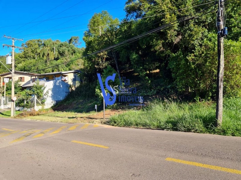 Terreno à venda, em Três Coroas//RS!: 3ª foto da galeria de imagens do imóvel