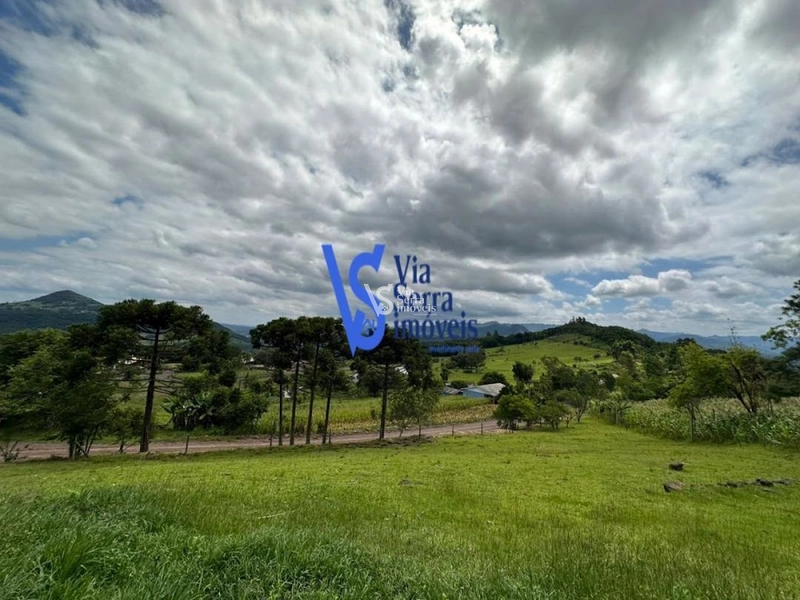 Sítio à venda, em Três Coroas/RS!: 9ª foto da galeria de imagens do imóvel