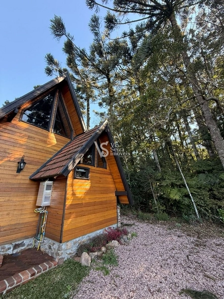 Lindo Sítio em Serra Grande!: 14ª foto da galeria de imagens do imóvel