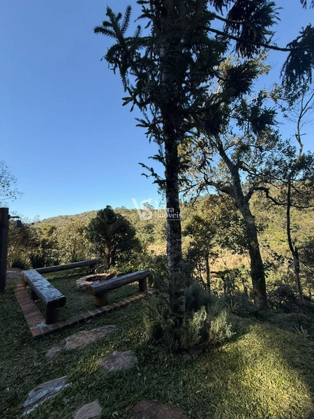 Lindo Sítio em Serra Grande!: 15ª foto da galeria de imagens do imóvel