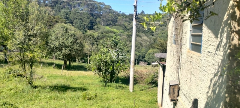 Sítio à venda, em Três Coroas/RS!: 2ª foto da galeria de imagens do imóvel
