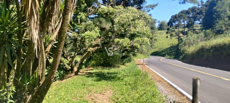 Sítio à venda, em Três Coroas/RS!: 4ª foto da galeria de imagens do imóvel