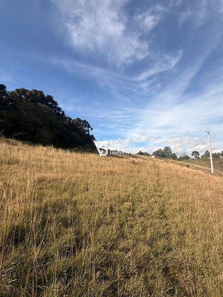 Terreno amplo com excelente potencial construtivo em São Francisco de Paula: 8ª foto da galeria de imagens do imóvel