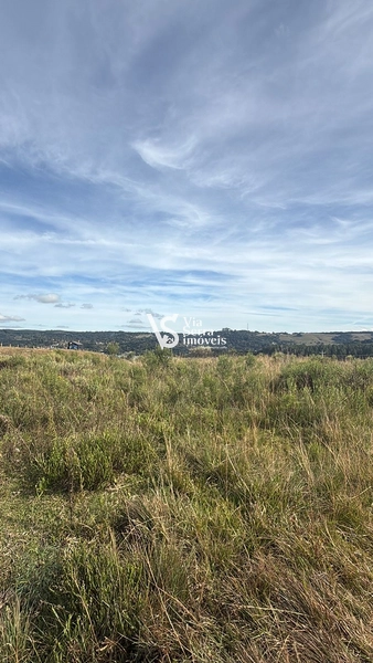 Terreno amplo com excelente potencial construtivo em São Francisco de Paula: 5ª foto da galeria de imagens do imóvel