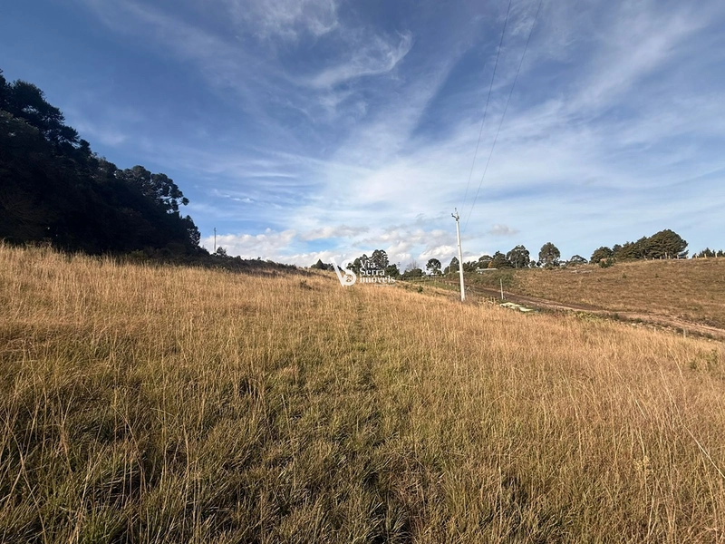 Terreno amplo com excelente potencial construtivo em São Francisco de Paula: 3ª foto da galeria de imagens do imóvel
