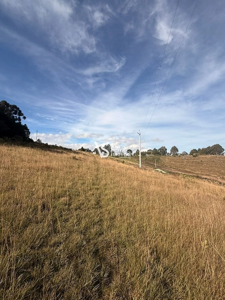 Terreno amplo com excelente potencial construtivo em São Francisco de Paula: 6ª foto da galeria de imagens do imóvel
