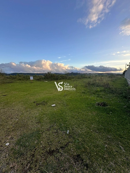 Terreno: 6ª foto da galeria de imagens do imóvel