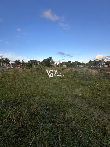 Terreno: 5ª foto da galeria de imagens do imóvel