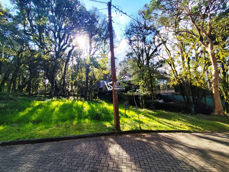 Terreno à venda no Pinheiro Grosso – Gramado/RS: 3ª foto da galeria de imagens do imóvel