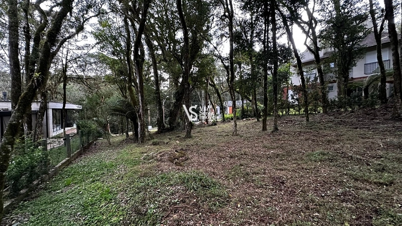 Terreno à venda no Pinheiro Grosso – Gramado/RS: 9ª foto da galeria de imagens do imóvel