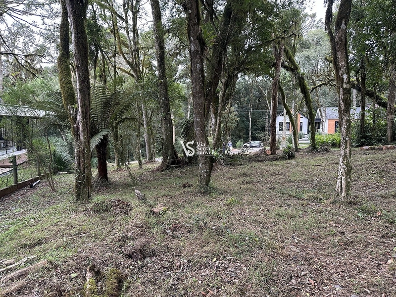 Terreno à venda no Pinheiro Grosso – Gramado/RS: 6ª foto da galeria de imagens do imóvel