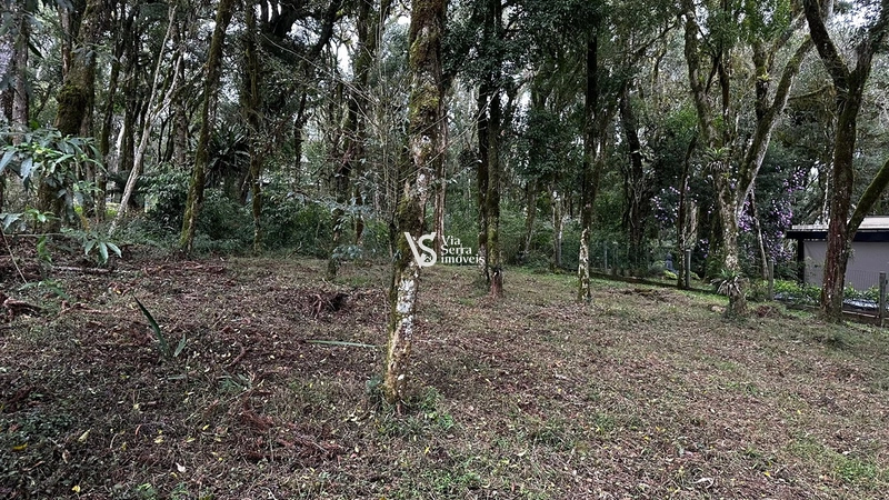 Terreno à venda no Pinheiro Grosso – Gramado/RS: 5ª foto da galeria de imagens do imóvel