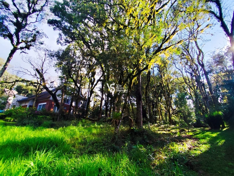 Terreno à venda no Pinheiro Grosso – Gramado/RS: 2ª foto da galeria de imagens do imóvel