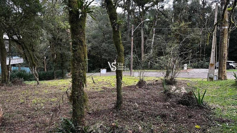 Terreno à venda no Pinheiro Grosso – Gramado/RS: 10ª foto da galeria de imagens do imóvel