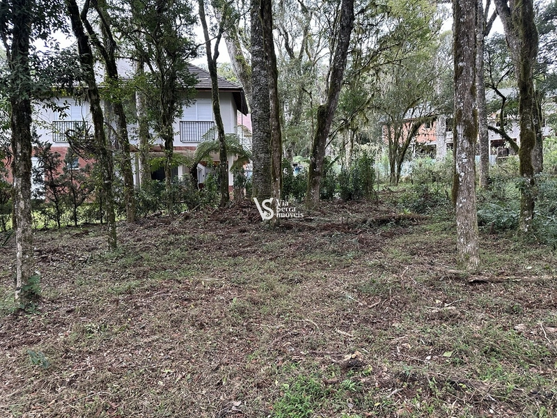 Terreno à venda no Pinheiro Grosso – Gramado/RS: 1ª foto da galeria de imagens do imóvel