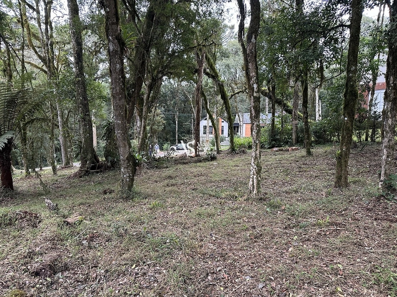 Terreno à venda no Pinheiro Grosso – Gramado/RS: 7ª foto da galeria de imagens do imóvel