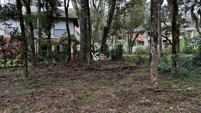 Terreno à venda no Pinheiro Grosso – Gramado/RS: 8ª foto da galeria de imagens do imóvel