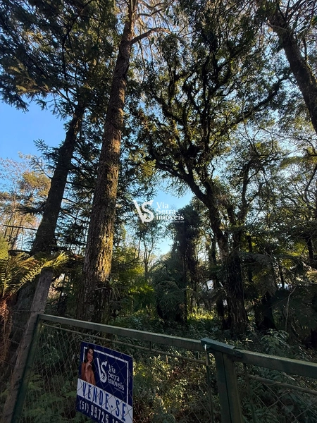 Terreno Exclusivo no Alpes Verdes – Canela/RS: 3ª foto da galeria de imagens do imóvel