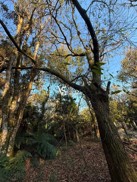 Terreno Exclusivo no Alpes Verdes – Canela/RS: 5ª foto da galeria de imagens do imóvel