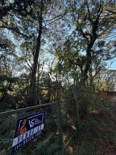 Terreno Exclusivo no Alpes Verdes – Canela/RS: 1ª foto da galeria de imagens do imóvel
