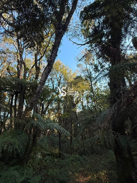 Terreno Exclusivo no Alpes Verdes – Canela/RS: 10ª foto da galeria de imagens do imóvel