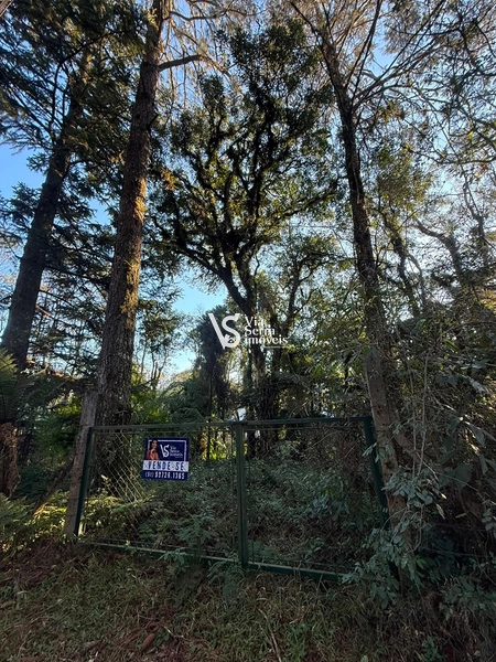 Terreno Exclusivo no Alpes Verdes – Canela/RS: 18ª foto da galeria de imagens do imóvel